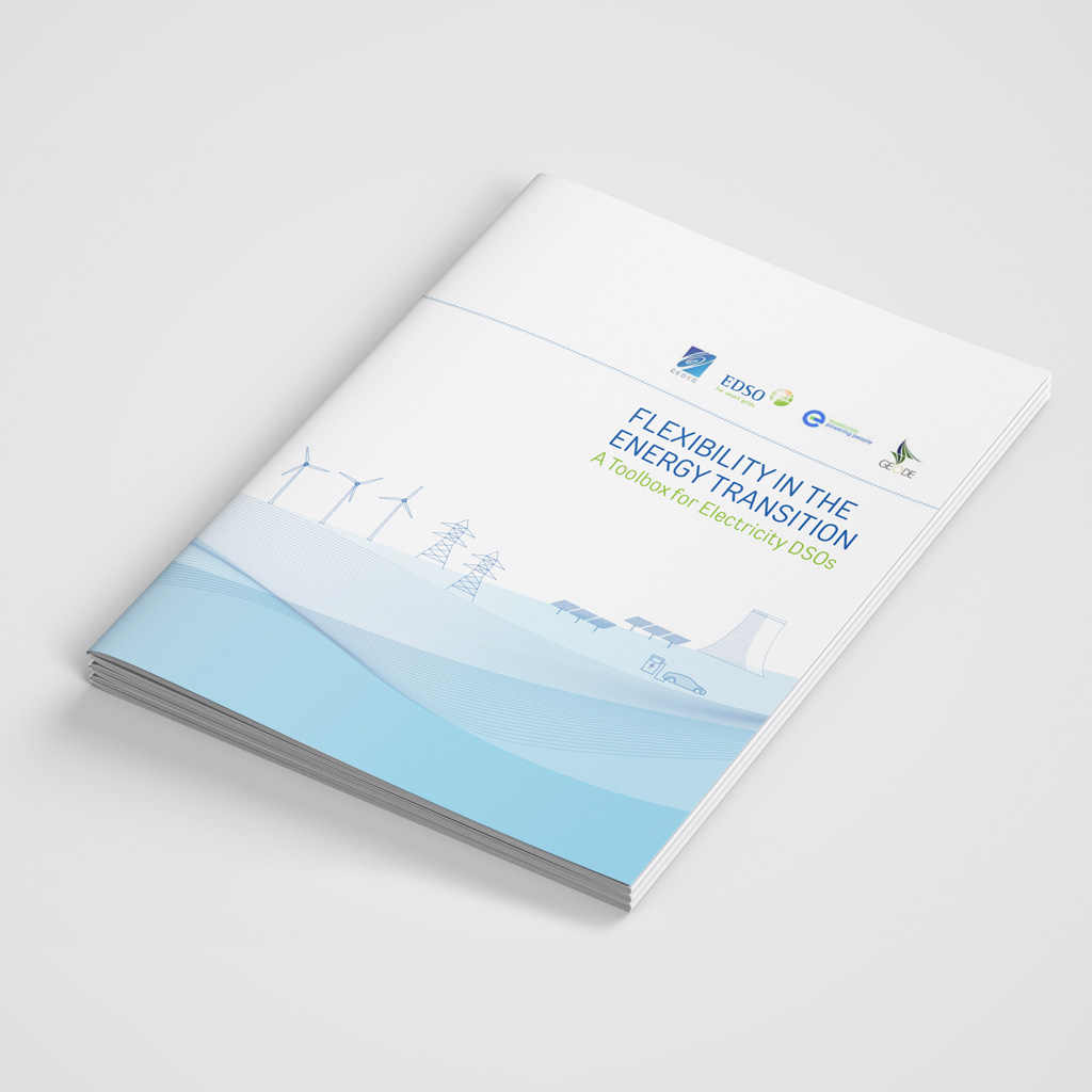 FLEXIBILITY IN THE ENERGY TRANSITION A Toolbox for Electricity DSOs