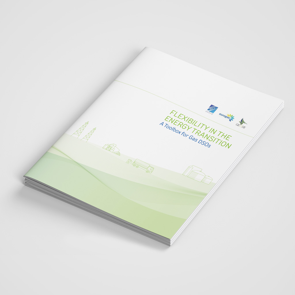 FLEXIBILITY IN THE ENERGY TRANSITION A Toolbox for Gas DSOs