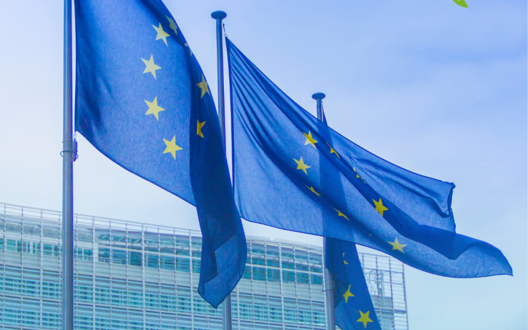 Eurogas’ recommendations on the extension of scope of the Union Database (UDB) to raw materials used for fuel production