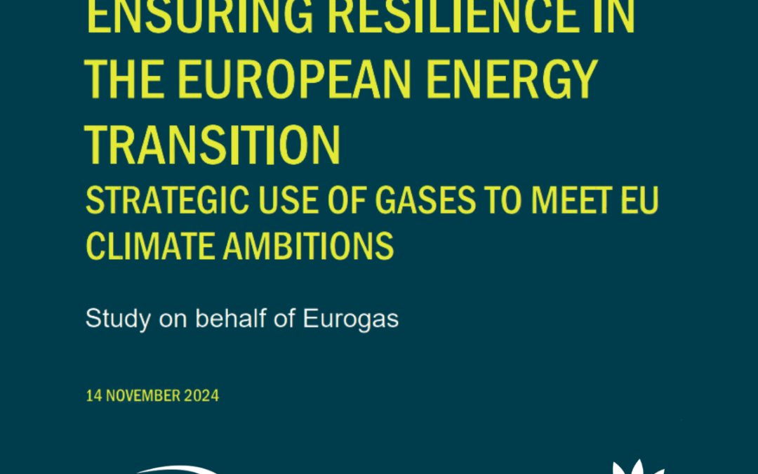 STUDY | Ensuring Resilience in the European Energy Transition: Strategic Use of Gases to Meet EU Climate Ambitions