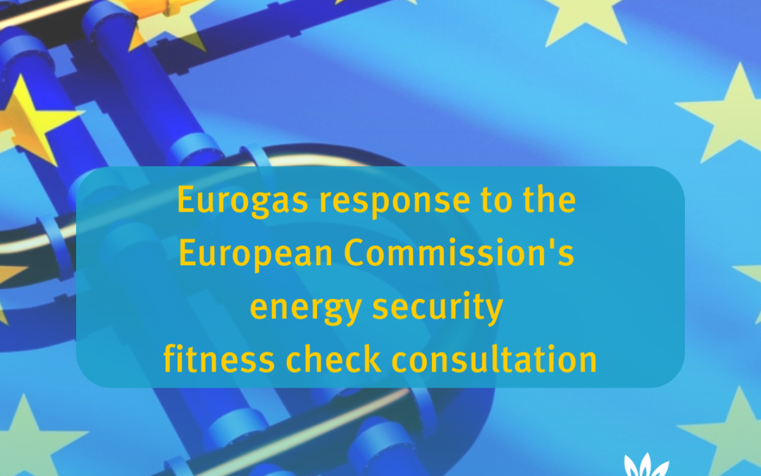 Eurogas response to the European Commission’s energy security fitness check consultation
