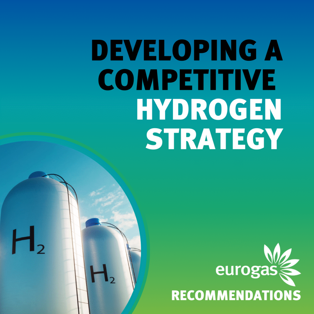 The EU needs a competitive hydrogen strategy for renewable and low-carbon hydrogen and their derivatives