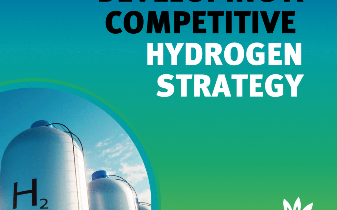 The EU needs a competitive hydrogen strategy for renewable and low-carbon hydrogen and their derivatives