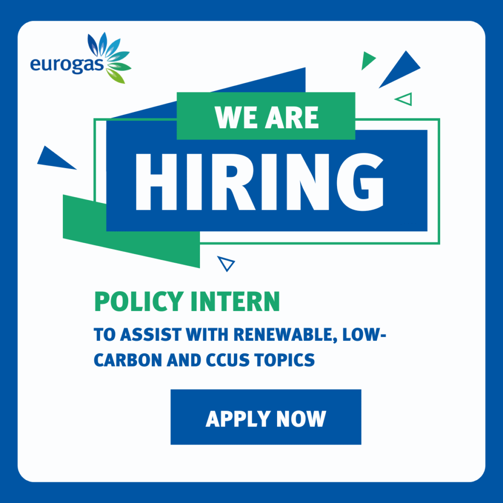Job Ad: Policy Intern – Renewables/Low-Carbon & CCUS