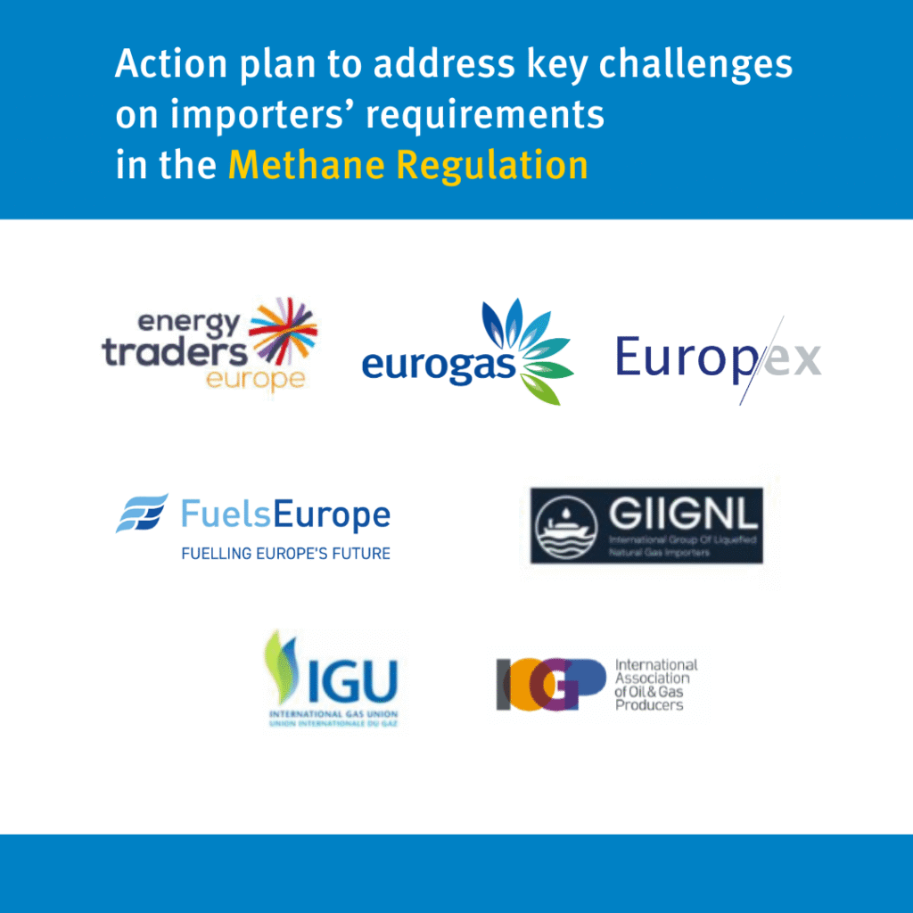 Action Plan to address key challenges on importers’ requirements in the Methane Regulation