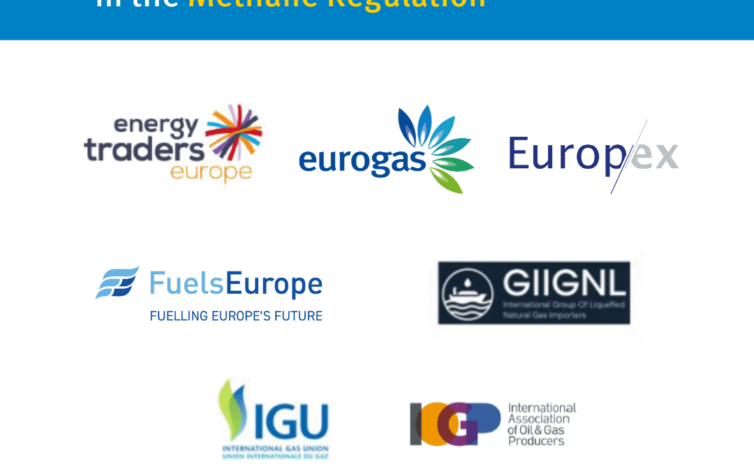 Action Plan to address key challenges on importers’ requirements in the Methane Regulation