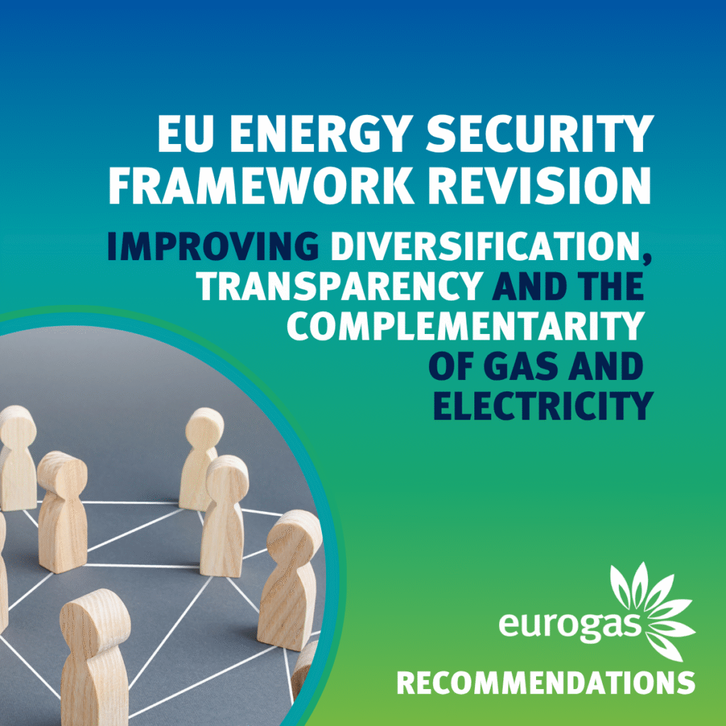 EU Energy Security Framework Revision: Improving diversification, transparency and the complementarity of gas and electricity