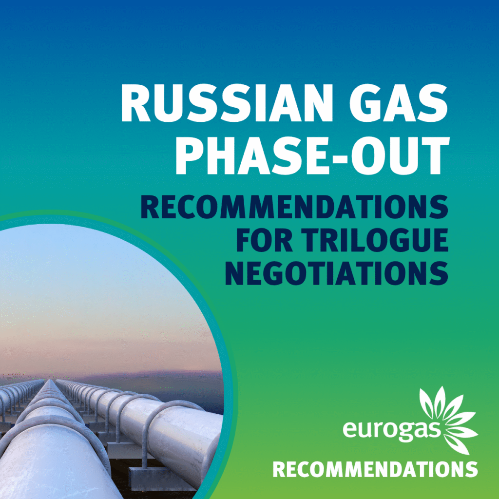 Russian Gas Phase-Out: Recommendations for Trilogue Negotiations