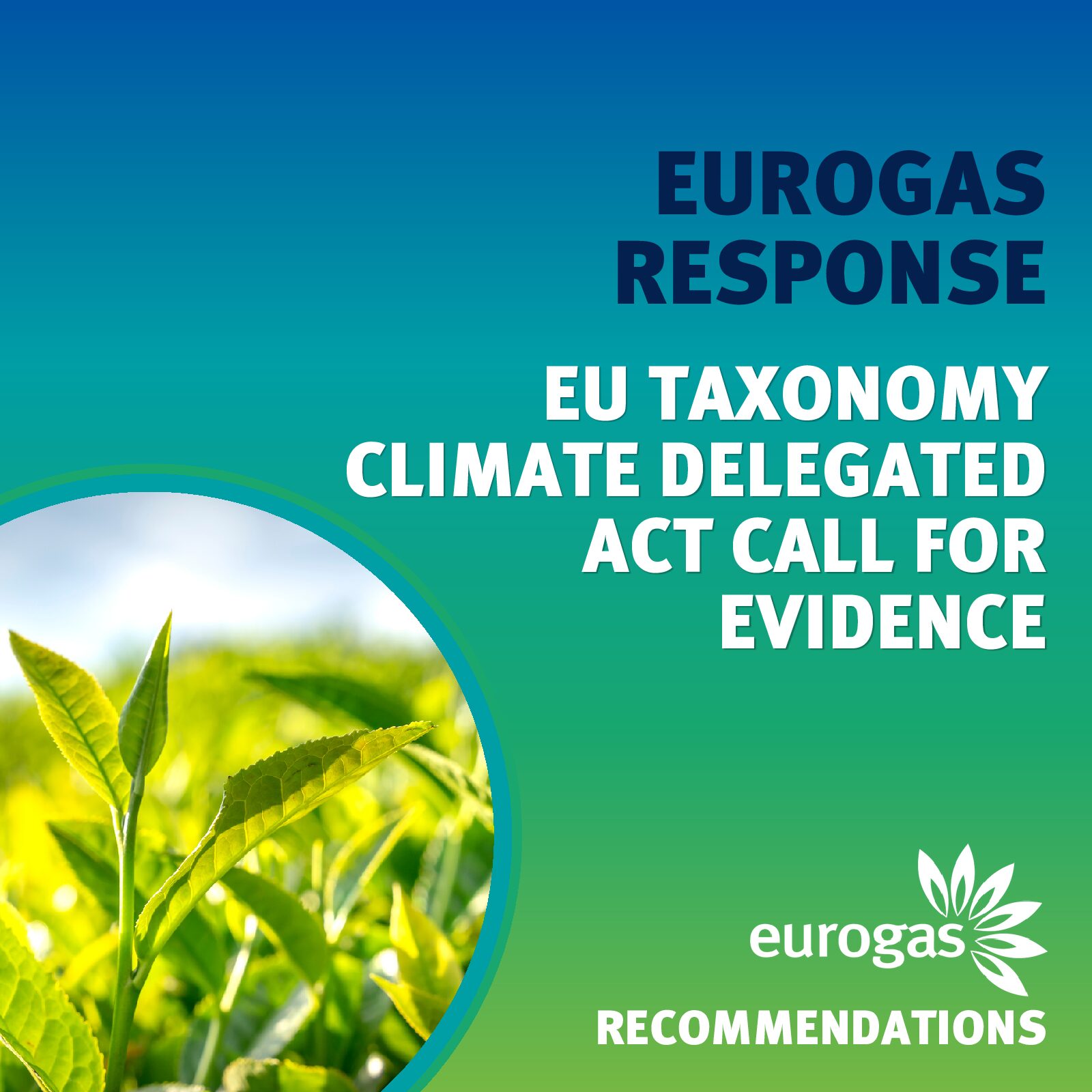 Eurogas Response: EU Taxonomy Climate Delegated Act Call for Evidence