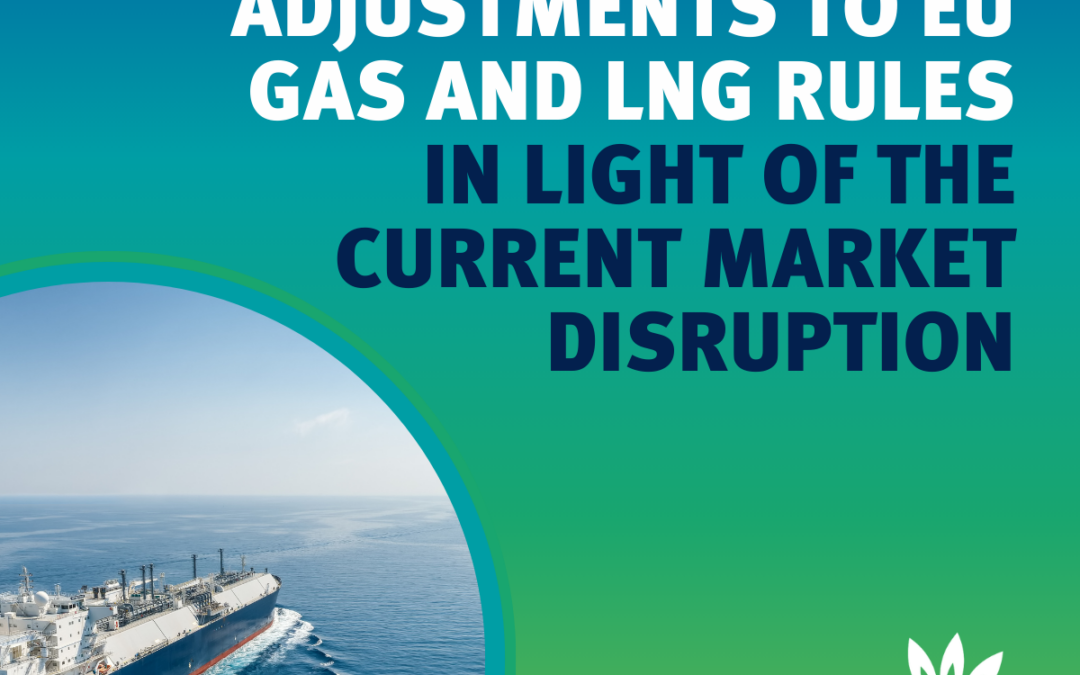 Calling for urgent adjustments to EU gas and LNG rules in light of the current market disruption