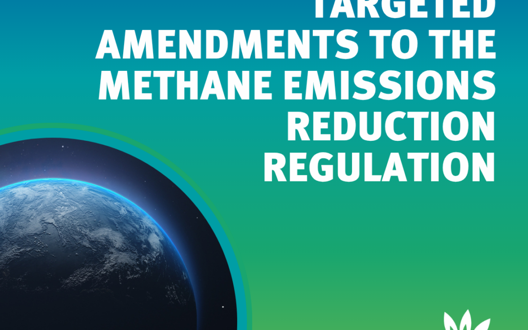 Joint Industry Call for targeted amendments to the Methane Emissions Reduction Regulation