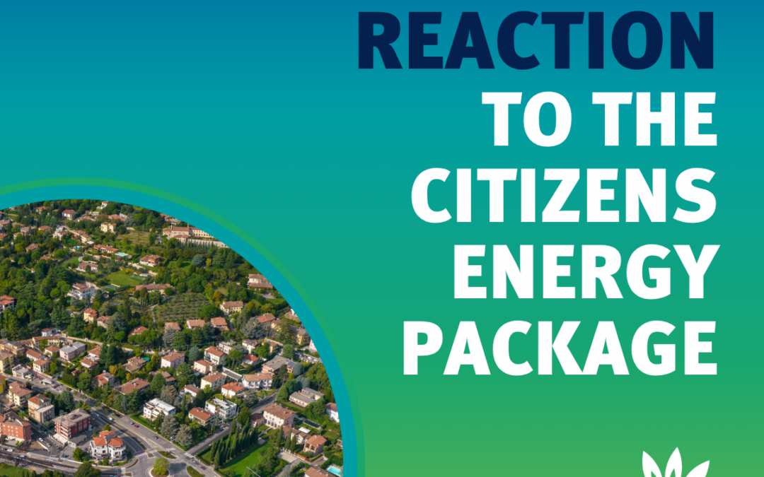Eurogas Reaction: Citizens Energy Package