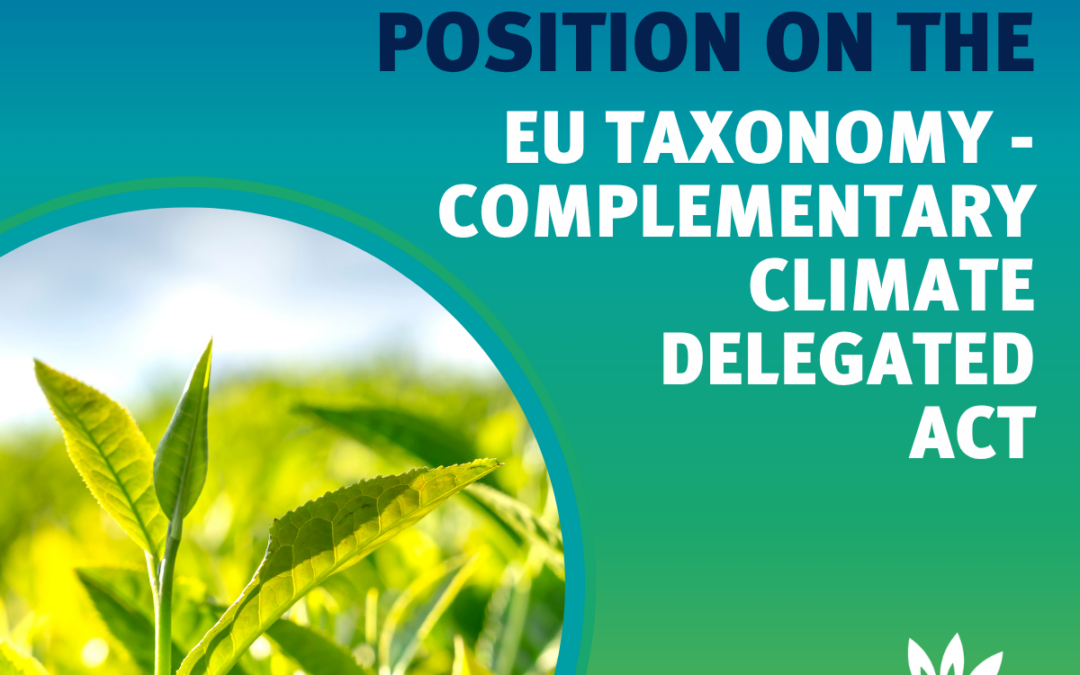 EU Taxonomy Complementary Climate Delegated Act