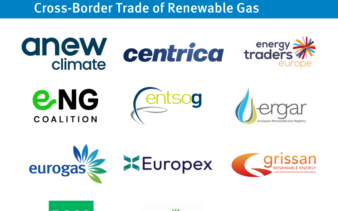 Joint Industry Call: Removing barriers to the internal energy market by enabling Ireland’s participation in cross-border trade of renewable gas