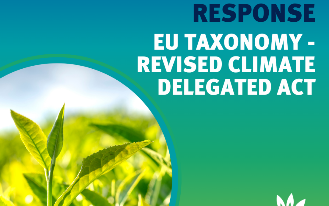EU Taxonomy: answer to the EC Consultation on the revised Climate Delegated Act