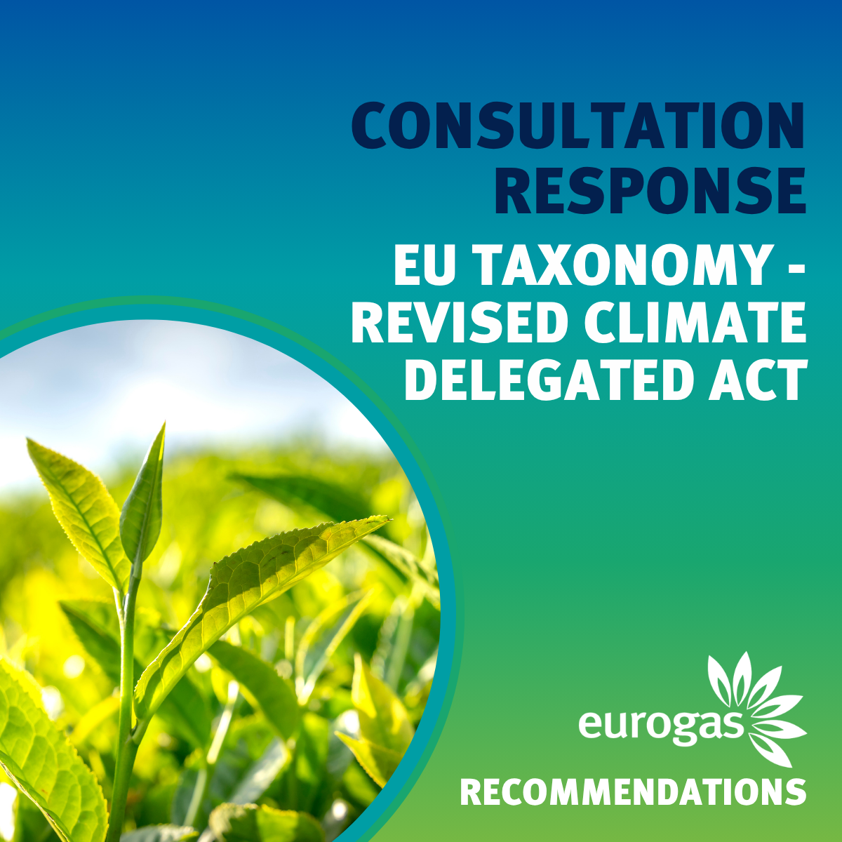 EU Taxonomy: answer to the EC Consultation on the revised Climate ...