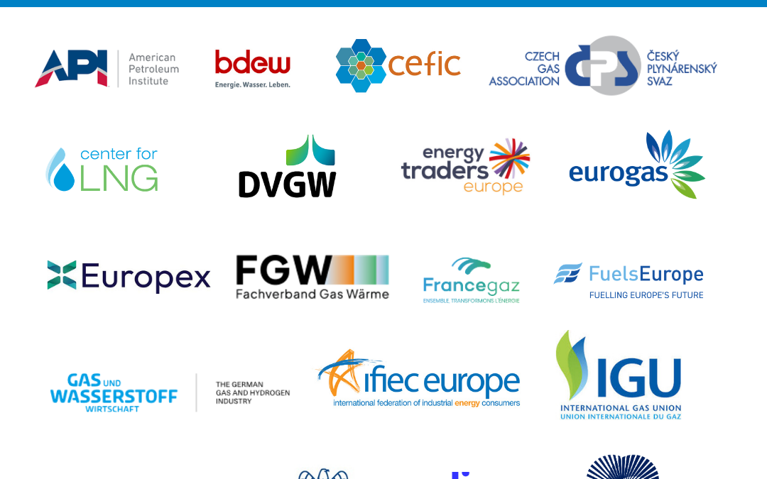 EU Methane Regulation: Joint Statement ahead of next European Council and TTE Council of June 2026