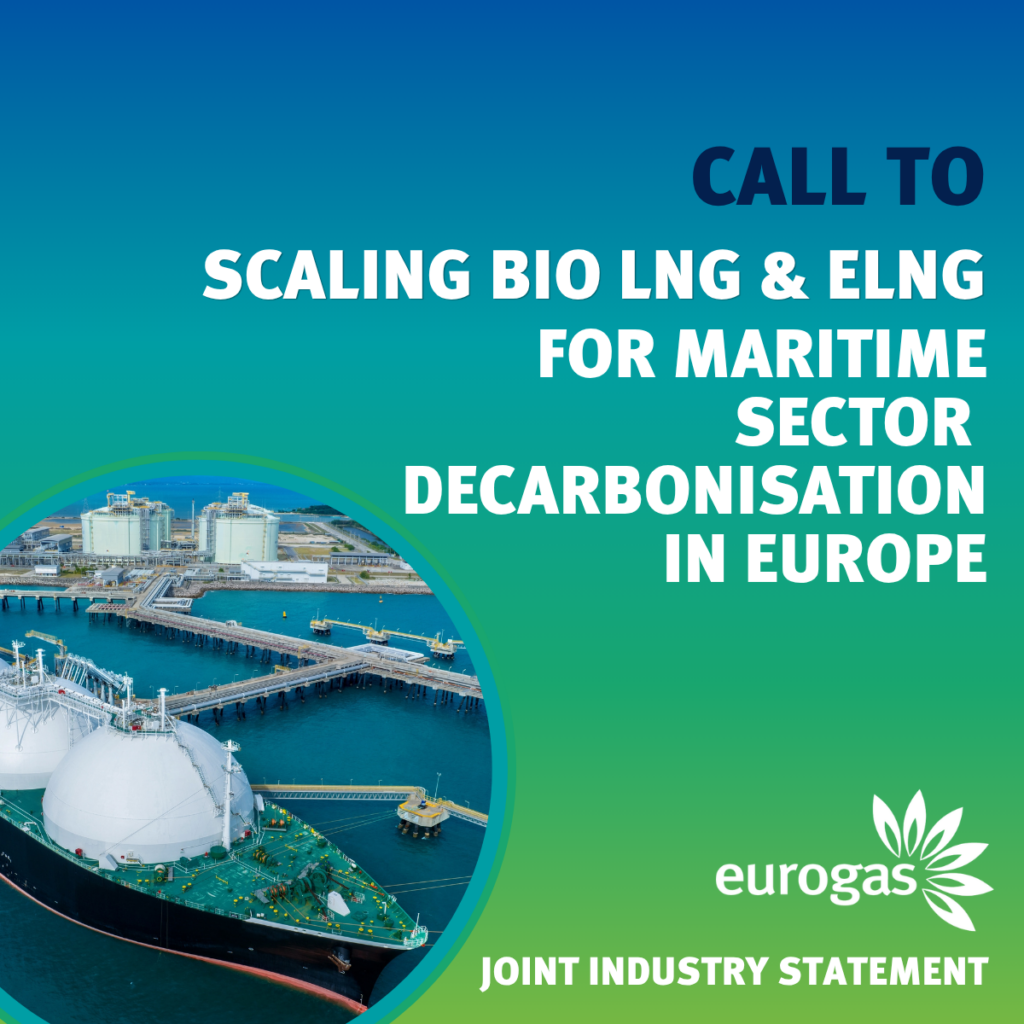 Joint Statement: Scaling BioLNG and eLNG for Maritime Sector Decarbonisation in Europe