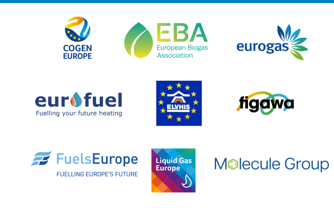 Joint Statement: The Role of Renewable Fuels in the Energy Transition of Heating