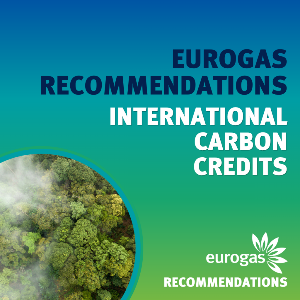 Eurogas Recommendations: International Carbon Credits