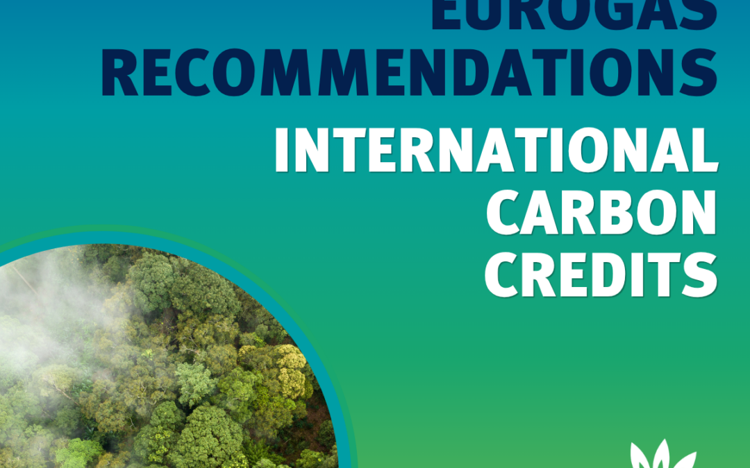 Eurogas Recommendations: International Carbon Credits