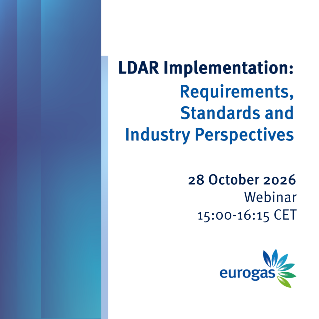 LDAR Implementation: Requirements, Standards and Industry Perspectives